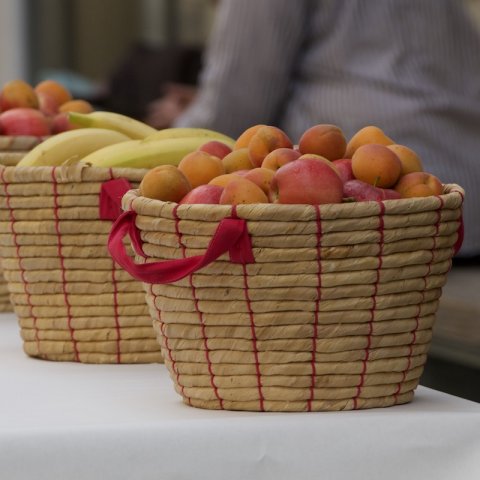 19_conferenceimpressions_3994